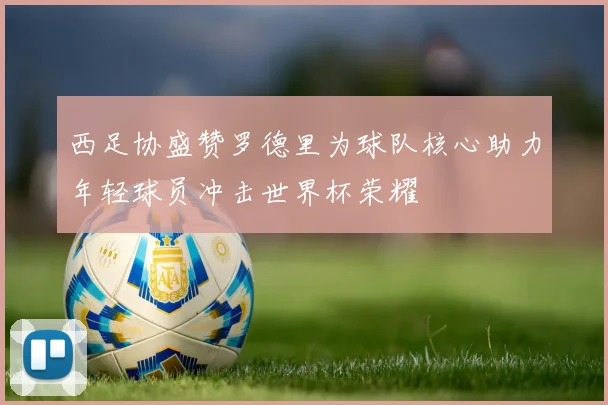 西足协盛赞罗德里为球队核心助力年轻球员冲击世界杯荣耀