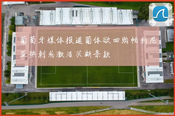 葡萄牙媒体报道葡体欲回购帕利尼亚热刺或激活买断条款